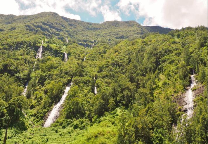 Bunga-Lodge Vanille サン・タンドレ エクステリア 写真